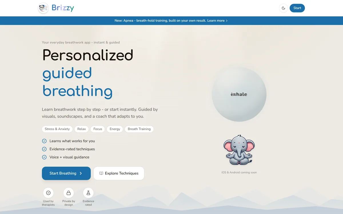 The Brizzy homepage showing a guided breathing app with a breathing bubble