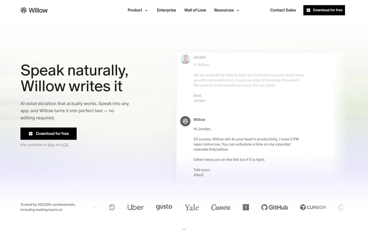 Willow Voice homepage showing the AI dictation tool for any application